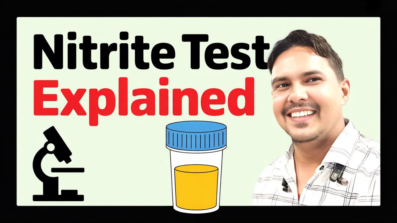 what is nitrite in urine I urine nitrite test