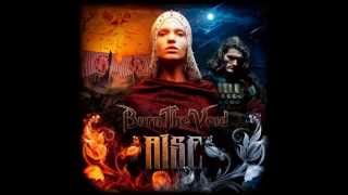Burn the Void - Rise