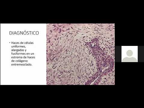 Vídeo: Què és el mesenteris en biologia?