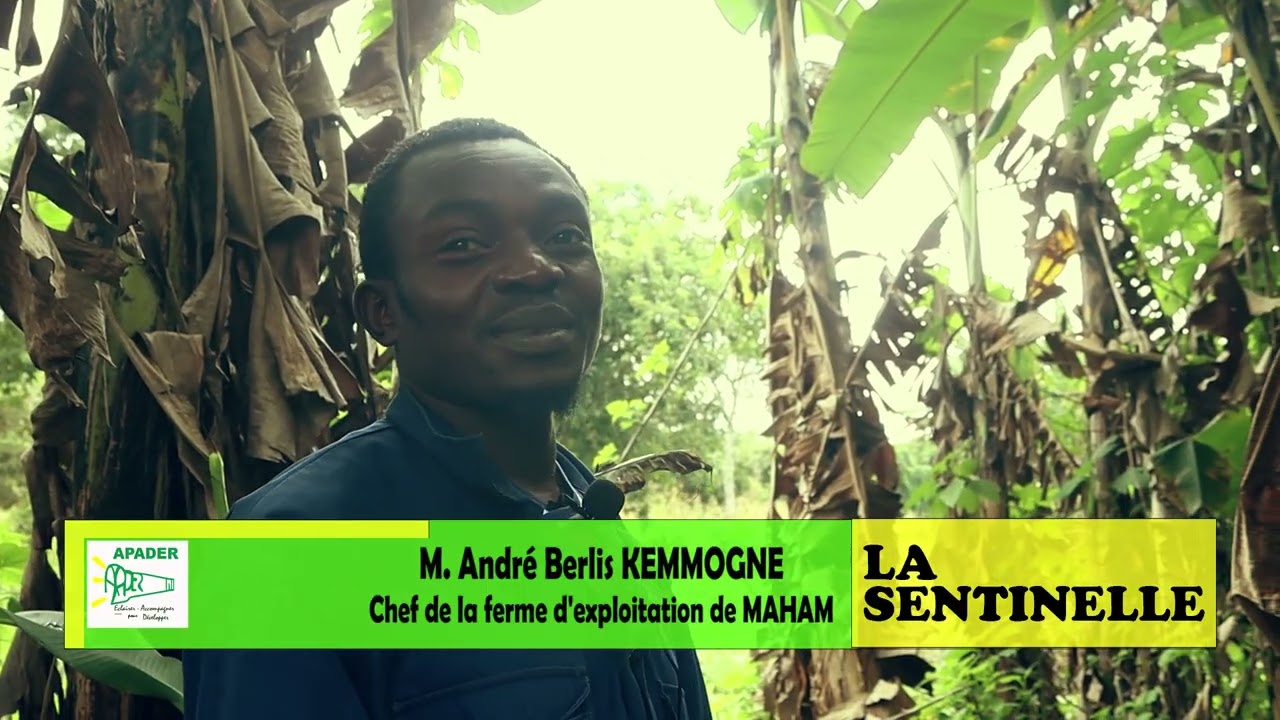 APADER: LA FERME DE MAHAM