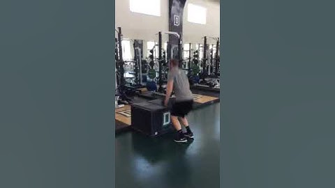 Dumbbell Box Jump