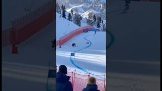 Wild Boar Interrupts The Slalom Skiing Race winter olympics milanocortina accident animal