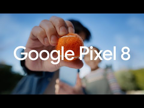 Google Pixel 8: Editing Magic - Flying Dog