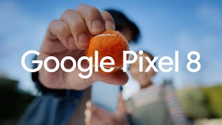 Google Pixel 8: Editing Magic - Flying Dog