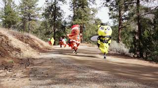 Colfax 2025 Thanksgiving Inflatable Race