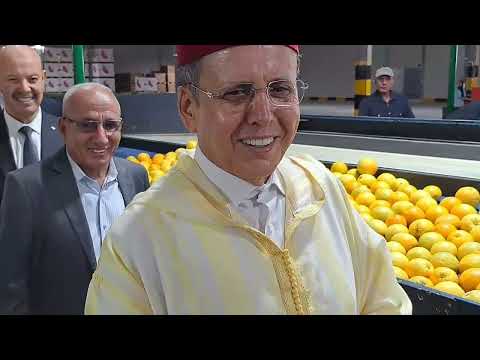 زيارة تفقدية لوحدة صناعية لتلفيف الليمون والخضر من أجل التصدير بجماعة دار ولد زيدوح