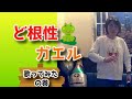 石川進/荒川少年少女合唱隊/ど根性ガエル【うたスキ動画】