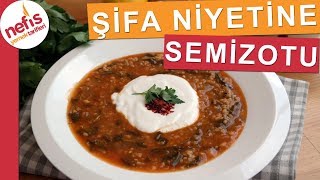 Semizotu Yemeği Nasıl Yapılı? - Tam Bir Şifa Kaynağı Deposu - Nefis Yemek Tarifleri