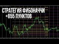 Фибо Форекс - изучение отзывов о форекс мошенниках Fibo ...