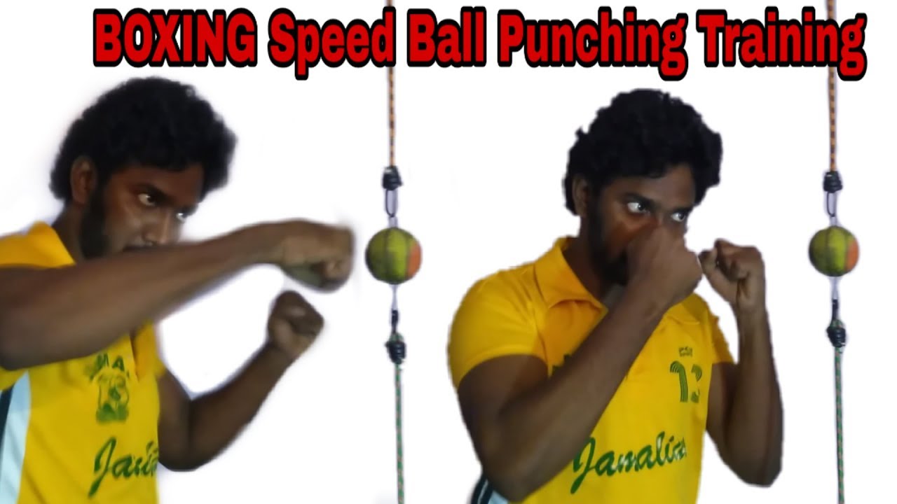 Boxing Speed Ball Training Tamil Vinothjustice YouTube