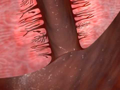 Vid of cervix during sex