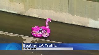 Family Rides Flamingo To Beat L.A. Traffic