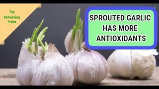 Eat sprouted garlic - contains higher ...
