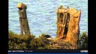 May2 1755 dad into the nest; out 1803 and to bst 1803 and trills heard