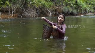 TAU TAA WANA DI TENGAH BELANTARA | JEJAK PETUALANG (08/10/24) Part 2