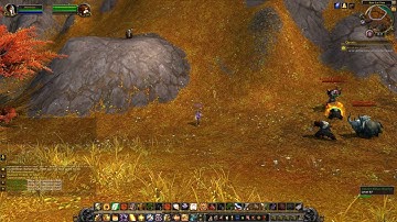 Pandaria Quest 115: All of the Arrows (WoW, human, Paladin)