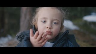 A Forest Walk - Shot On Red Raven