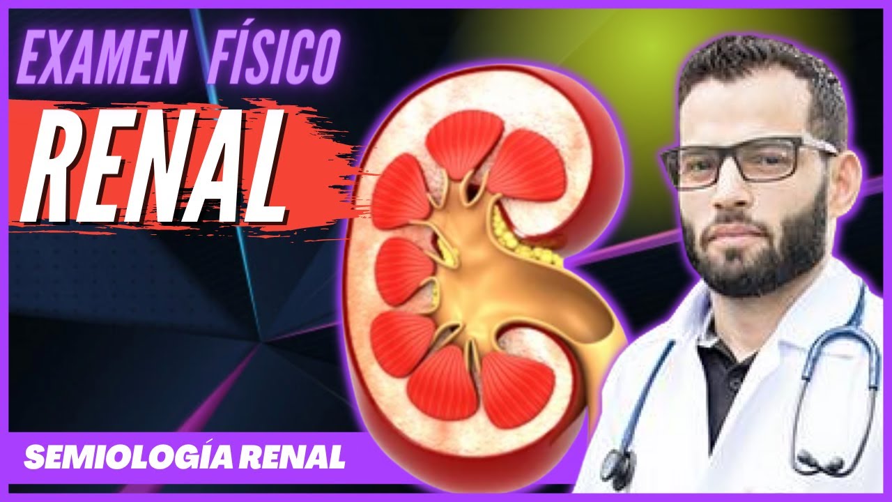 Semiología Renal - Examen físico renal - YouTube