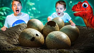 Baby Lava Trex Found Dinosaur Eggs In The Park