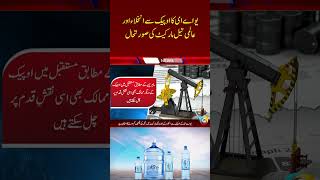 UAE Exits OPEC! Global Oil Market Impact &amp; Hajj 2026 Season Begins in Saudi Arabia | SOS News
