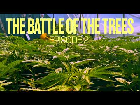 BLEEZY'S EARLY JUMP - The "Battle Of The Trees" S2 Ep2