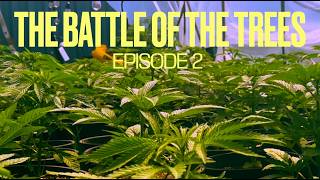 BLEEZY'S EARLY JUMP - The "Battle Of The Trees" S2 Ep2