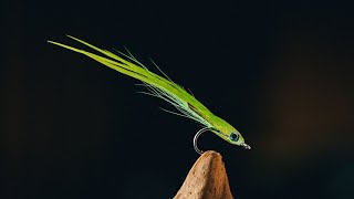 Bucktail Flatwing Candy Fly for Seatrout & Saltwater | Fly Tying Tutorial