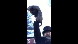 Punxsutawney Phil Predicts Six More Weeks of Winter on Groundhog Day