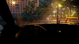 Night Rain on a Car | The Sound of Rain in a Car on a Rainy Park | Heavy Rain Sounds 8 Hours