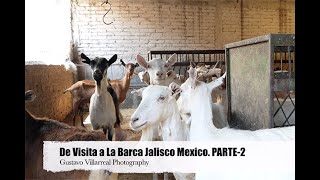 La Barca Jalisco Mexico 4K- Mostrando un poco el proceso de la comida más popular. La Birria.