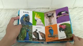 First 100 Animals Board Book