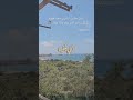 رح قول للطيور إهداء إلى بانياسRah Oul Lel Toyour Ali Soleiman Dedicated to Banias mp3