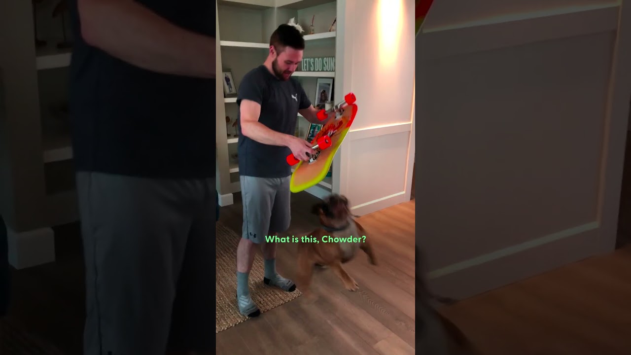 Bulldog Refuses to Sleep Without His Skateboard | The Dodo