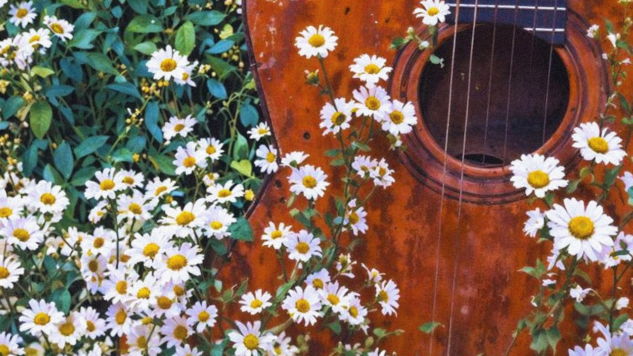 [FREE] Romantic Acoustic Guitar Type Beat | "if we were a song"