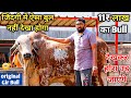 11 लाख रुपए का गिर बुल नहीं देखा होगा ||100% Original gir Bull of Aryaman Gir Gaushala Gujarat