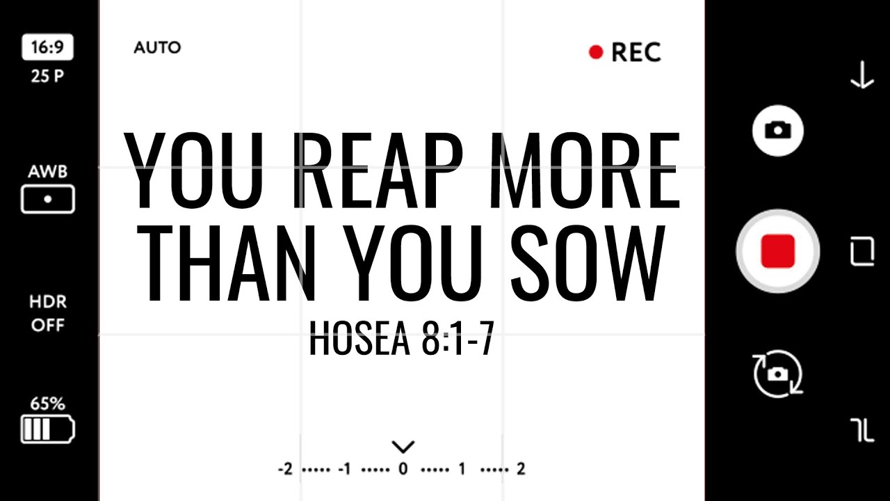 You Reap More Than You Sow