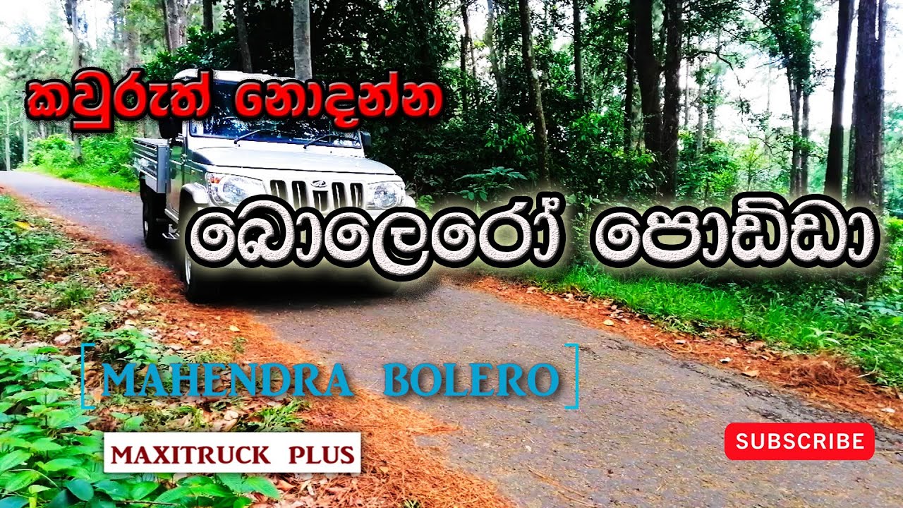 Horse Power (Bolero sinhala Review) YouTube