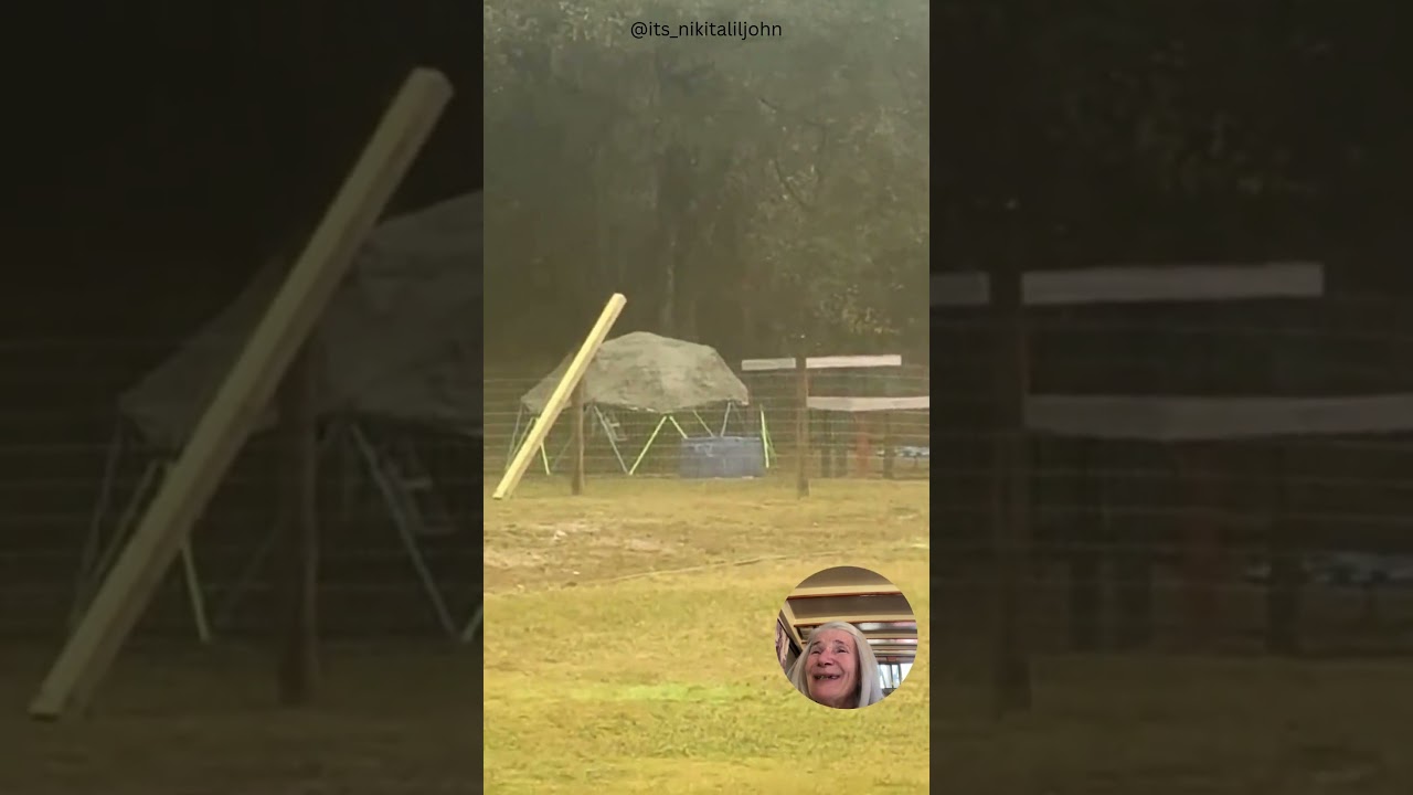 Козы снова перехитрили меня… 