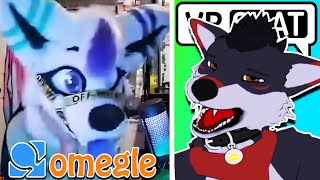 My Last Omegle Video 