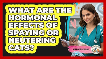 What Are The Hormonal Effects Of Spaying Or Neutering Cats? - Happy Cat Handbook