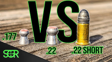 Break Barrel POWER with EXPLODING PELLETS VS .22 RIMFIRE!