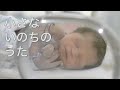 小さな いのちの うた