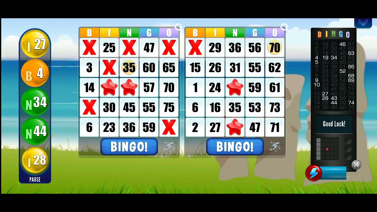 Absolute Bingo game with 2 cards | Exploring new Themes 