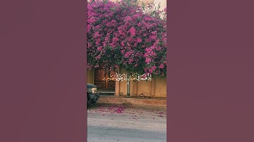 القرآن الكريم بصوت الشيخ عبدالرحمن مسعد☘️🤍لا تحزن ان الله معنا  Al Quran Al Kareem