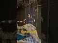 Sometimes this happens😬🤯but always put on to get up and do to excellent💪🏻 #circus #gym #aerial