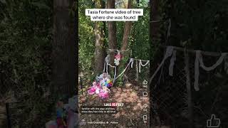 Tasia Fortune video of tree where she was found