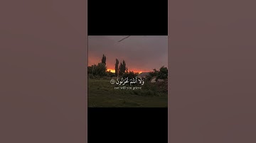 يا عباد لا خوف عليكم اليوم ولا انتم تحزنون | سورة الزخرف | محمد صديق المنشاوي