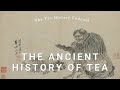 Teas ancient beginnings in china  the tea history podcast  ep 1