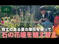 【石の花壇を植え替える!】背丈のある夏の草花を使って「初夏のガーデニング」-フローラ黒田園芸- #ガーデニング #園芸 #寄せ植え 