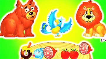 Fun Animal Care Kids Games - Jungle Challenge Animal Gameplay - Jungle Doctor by LiBii  baby game